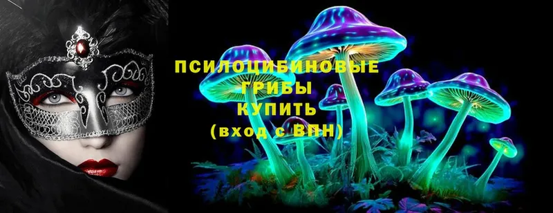 Псилоцибиновые грибы Psilocybe  ссылка на мегу как зайти  Кизел  наркота 